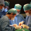 카프로닥터 이미지