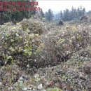 도순주유소 이미지