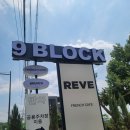 [경기/남양주] 반려동물 동반 가능한 프렌치 감성 카페 레브나인블럭 REVE9BLOCK 내돈내산 후기