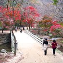 강천산 길 이미지