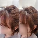 더모어 | 수원 한올붙임머리 더모어 옆머리 숱보강 후기