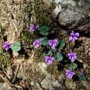 조령약수터 | 64/100 Playing with 주흘산