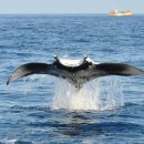 서충주국민체육센터 이미지