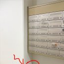 104동 우편함 아래 작은 벌집 같은 게 보이는데 확인 요망 이미지