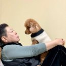 안녕, 내강아지 이미지