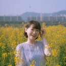 꽃담고 | 서울 개인 꽃 스냅 촬영 후기 | 서래섬 유채꽃 스냅 촬영 주차장·촬영팁 까지