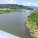 거진농협주유소 네이버블로그