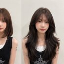 티는 머리헤어