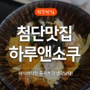 돈치앤 | 광주 첨단 맛집 하루앤소쿠에서 돈치새돈부리 먹은 후기
