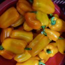 따순농장 이미지