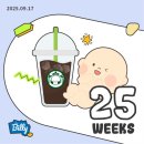 거진전통시장(신축) | 리조트 조식, 디마백, 개인비치 스노쿨링, 담시장 흥정, 크록스 구매, 목식당 예약, 넵모이, 망고로...