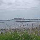 신천목장 이미지