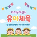 라이온태권도 | [전주혁신도시태권도] 라이온태권도