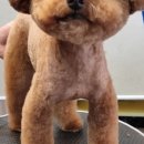 유스타 그루밍 이미지