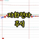 ㈜디에스첨단소재 제2공장 | 자화전자 주가 주식 현황 (2024.10.06)