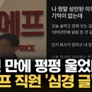 “10년만에 펑펑 울었다”… ‘정산 지연’ 위메프 직원의 심경 글 이미지