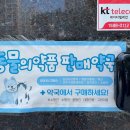 돌고래약국 이미지