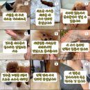 굿댕스쿨 네이버블로그