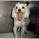 미래종합세탁소 이미지