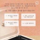 포레스트(forest) 이미지