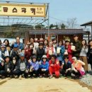 김태희의팜스쿠키 이미지