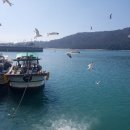 갈매기회타운 이미지