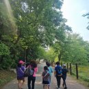 들꽃이야기 작은도서관 이미지