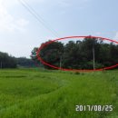 여주-1133 네이버블로그