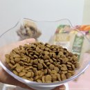 프리아이피오(주) | 강아지 사료 급여 후기&amp;강아지 사료 추천 [ANF 식스프리 플러스 인도어 독 양고기&amp;쌀]