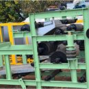 주식회사 대산환경 이미지