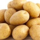 패밀리짐 이미지