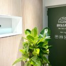 스테이성신 이미지