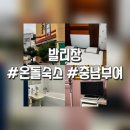 발리장 네이버블로그