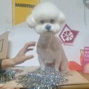 나보다 예쁘개 이미지