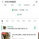 [해운대 양식 맛집] 3년차 재방문! 돌문어 스테이크에 반한 해운대 파스타 단골 맛집