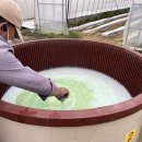 충주시농업기술센터 이미지