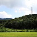 대천 레일바이크 네이버블로그