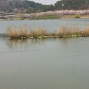 호수공원수변공원 이미지