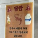 타코야마 네이버블로그
