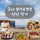 낙지집우두점 | [국내 부산&amp;경주 여행] 경상도로 떠난 먹방 원정대 부산 경주
