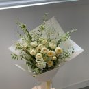 로얄파크장 이미지