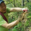 연숙농장 이미지