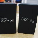 스마티언 이미지