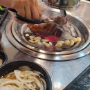 브라더갈매기
