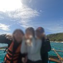 필리핀 세부 여행 로컬페이지 캐녀닝 고래상어 투어 후기 가격