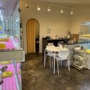 펫퍼스트 24시 강아지분양 고양이분양 파주운정점 이미지