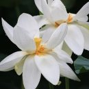 서일여행 이미지