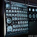 경희궁바른동물병원