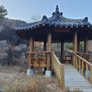 신녕장모텔 Daum카페