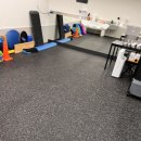 도그,위브 이미지